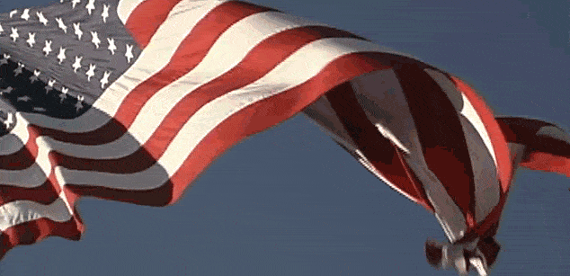 Maximus Tyrannus Avery - American Flag